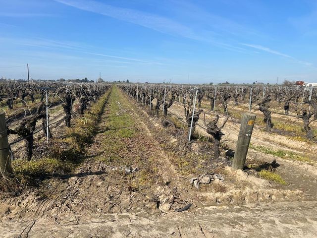 9577 S Del Rey Avenue, Selma, CA 93662