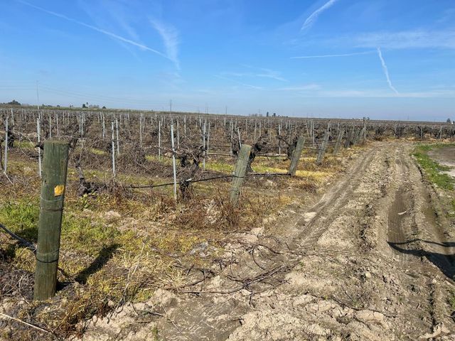 9577 S Del Rey Avenue, Selma, CA 93662