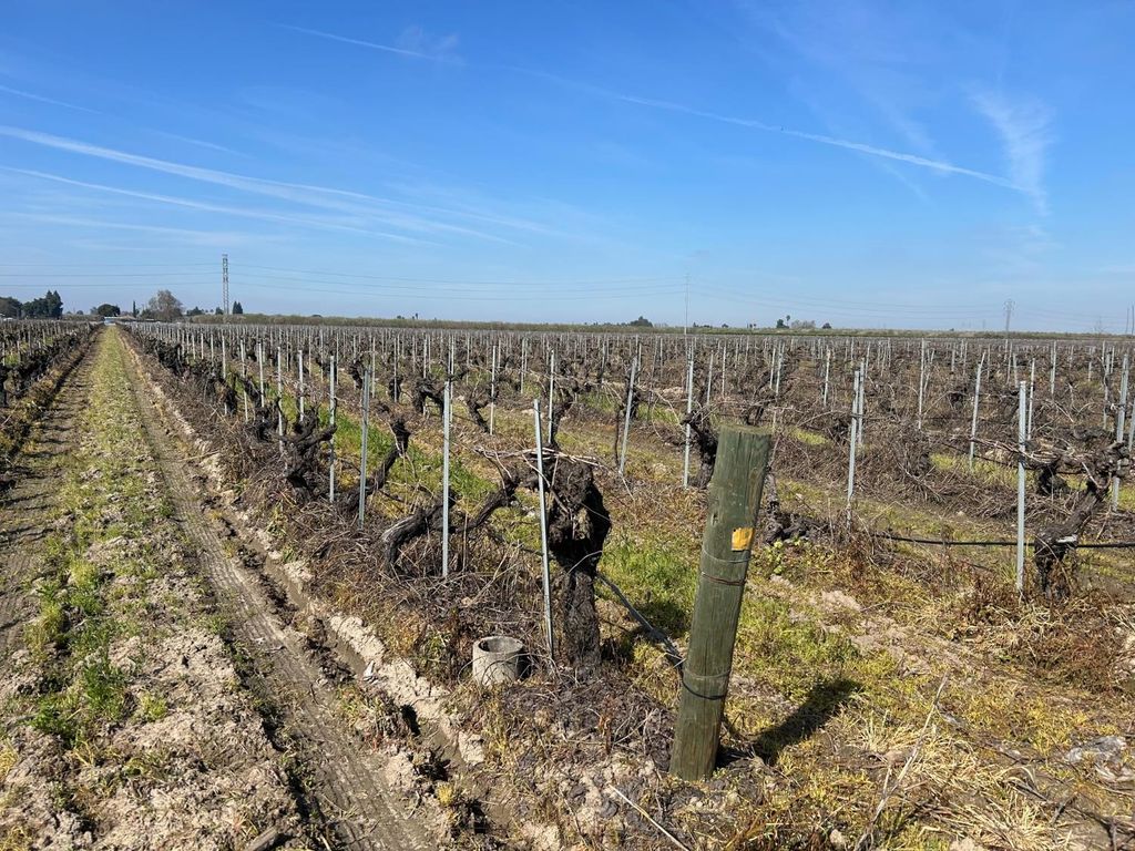 9577 S Del Rey Avenue, Selma, CA 93662