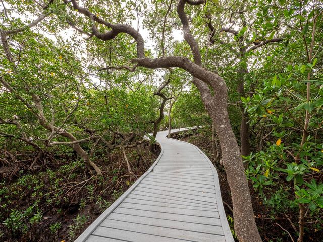 5260 GULF OF MEXICO DRIVE 413, Longboat Key, FL 34228