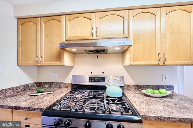 14329 WATERY MOUNTAIN CT, Centreville, VA 20120