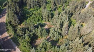 1170 Skagit Circle, Homer, AK 99603