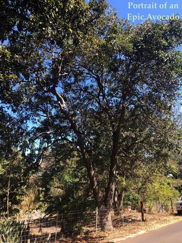 0 Brewer Rd, Makawao, HI 96768