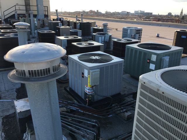 1525 S Sangamon Street 317-P, Chicago, IL 60608