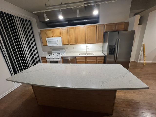 1525 S Sangamon Street 317-P, Chicago, IL 60608