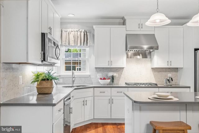 21397 SPRINGWELL DR, Ashburn, VA 20148