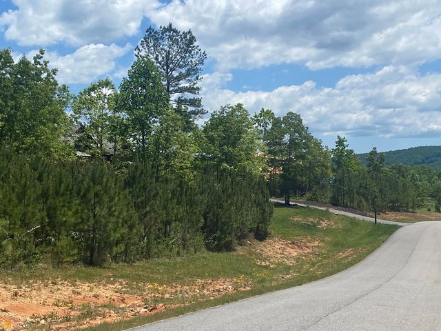 Lot 55 Village Loop, Blairsville, GA 30512