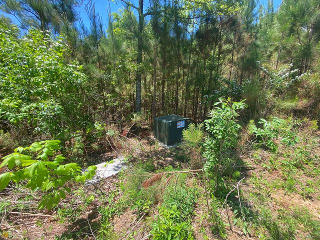 Lot 55 Village Loop, Blairsville, GA 30512