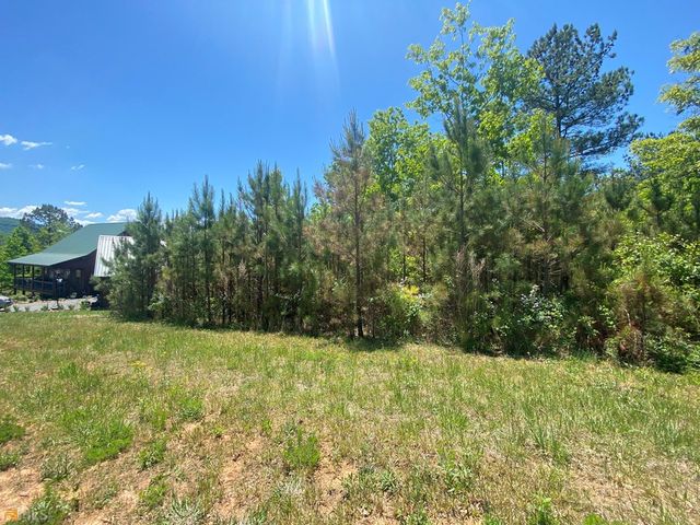 Lot 55 Village Loop, Blairsville, GA 30512