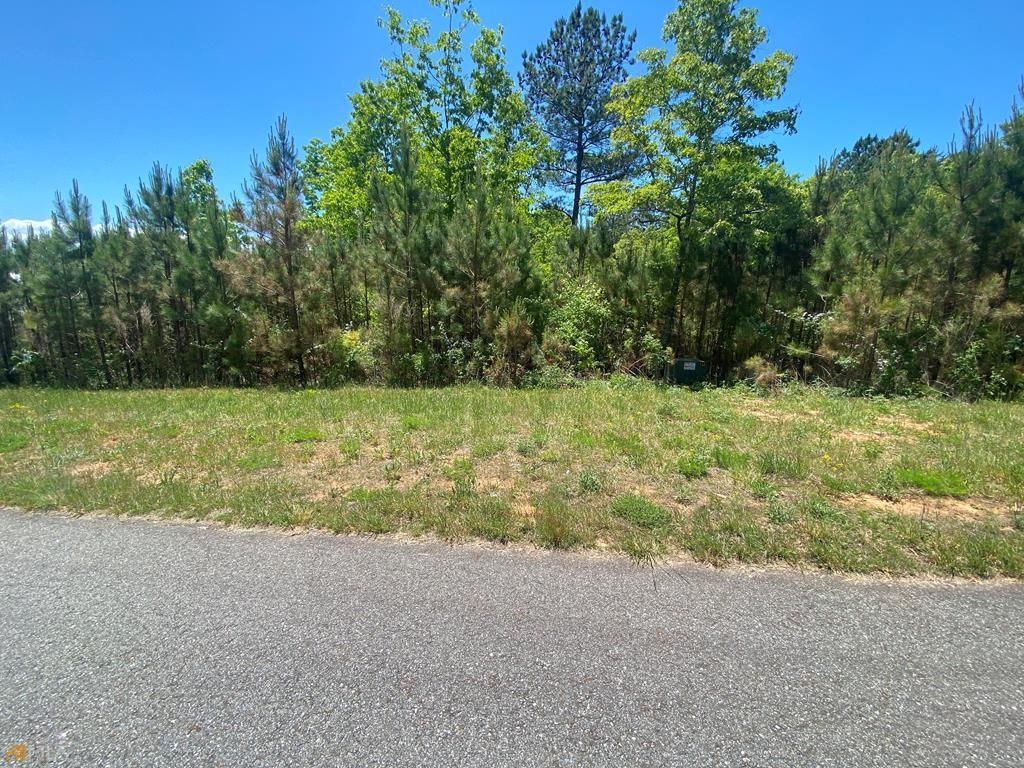 Lot 55 Village Loop, Blairsville, GA 30512