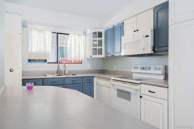 1244 Zimmer Place, Williamstown Township, MI 48895