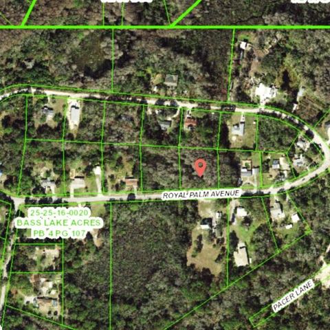 9805 ROYAL PALM AVENUE, New Port Richey, FL 34654