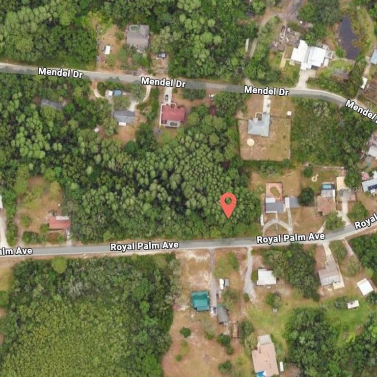 9805 ROYAL PALM AVENUE, New Port Richey, FL 34654