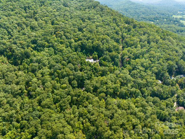 80 Ivy Cove Road, Fairview, NC 28730