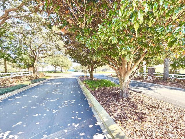 1044 LONGVILLE CIRCLE, Tavares, FL 32778