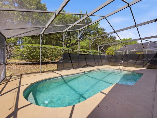 1007 BALMORAL DRIVE, Davenport, FL 33896