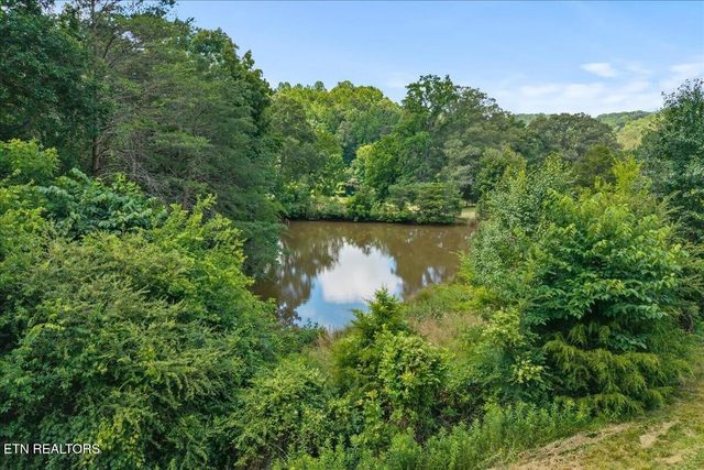 982 Wilson Station Road, Englewood, TN 37329
