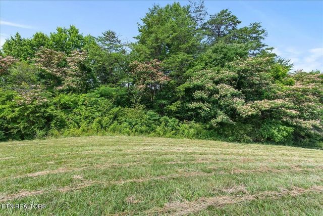 982 Wilson Station Road, Englewood, TN 37329