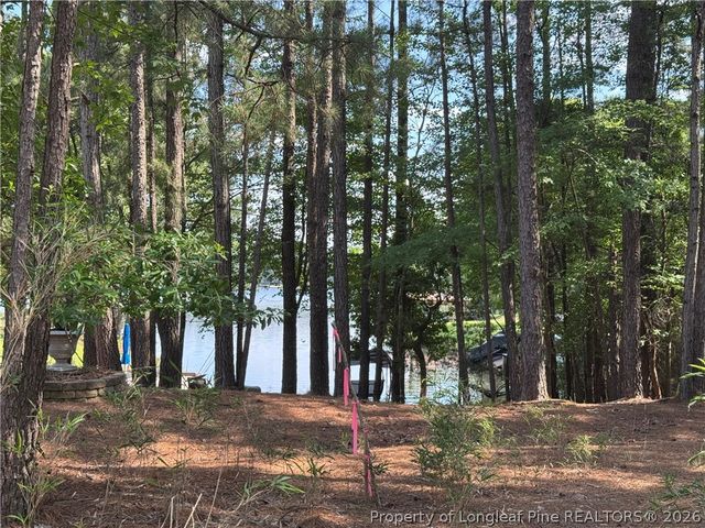 282 Pineridge Cove, Sanford, NC 27332