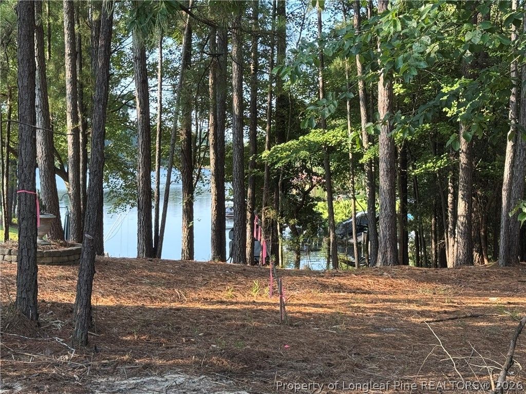 282 Pineridge Cove, Sanford, NC 27332 — photo 2