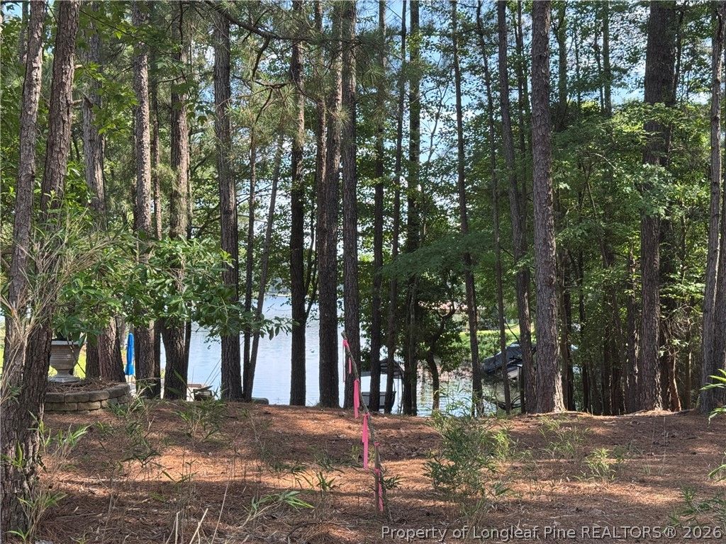 282 Pineridge Cove, Sanford, NC 27332 — photo 42