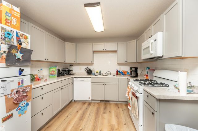 241 Leighton Drive, Big Lake, MN 55309