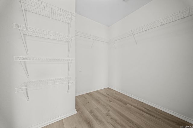 240 Rustic Acres, Selma, TX 78154