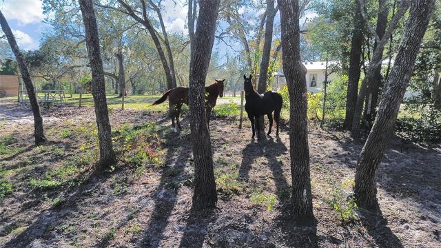 13255 TREATY ROAD, Spring Hill, FL 34610