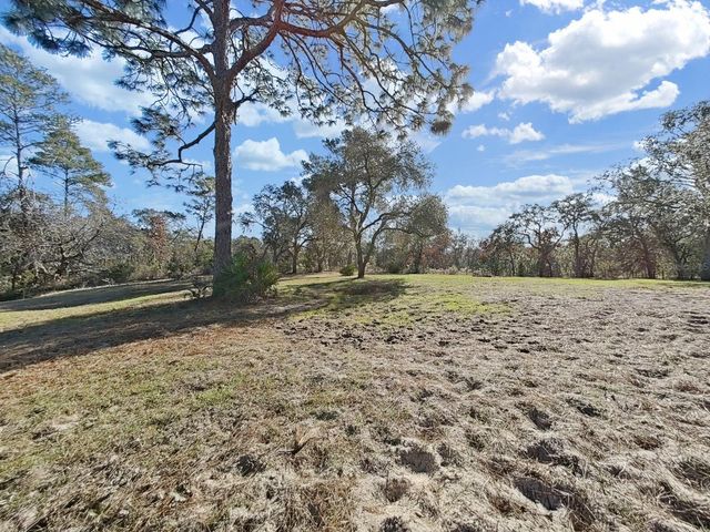 13255 TREATY ROAD, Spring Hill, FL 34610