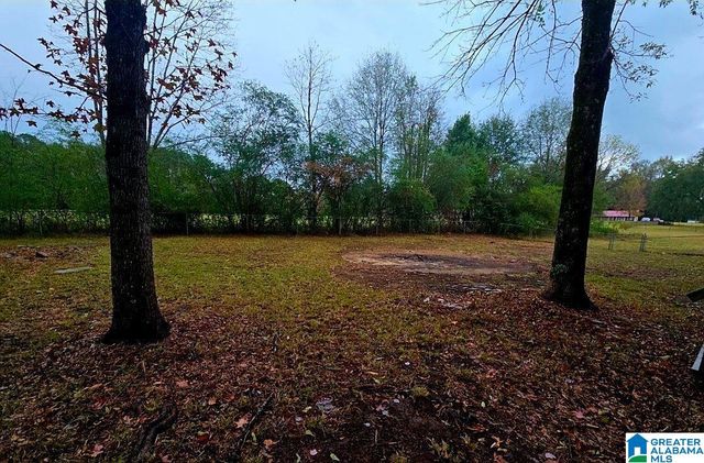 8151 SUSAN DRIVE, Dora, AL 35062