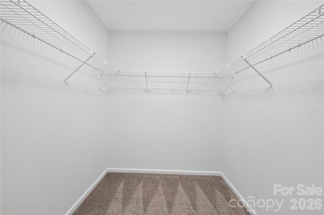6029 Waterloo Drive, Charlotte, NC 28269