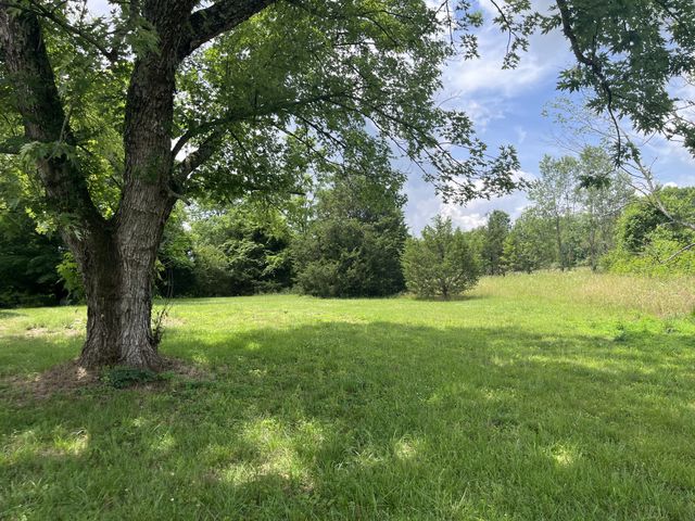 3076 Fairfield Pk tract, Bell Buckle, TN 37020