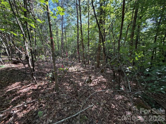 476 Southern Way, Nebo, NC 28761