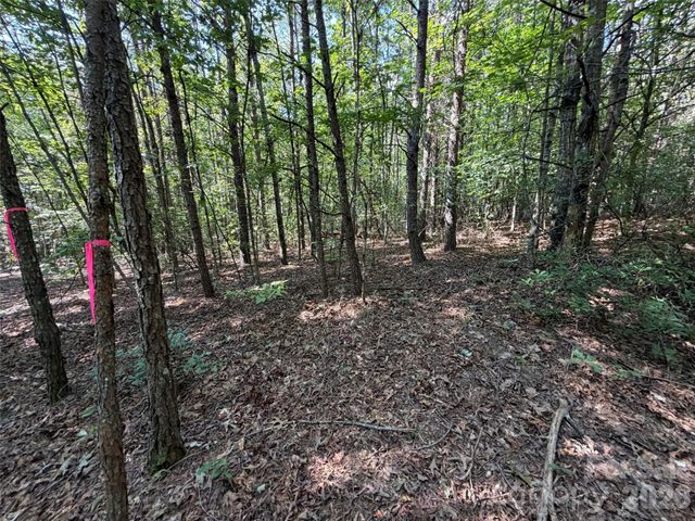 476 Southern Way, Nebo, NC 28761