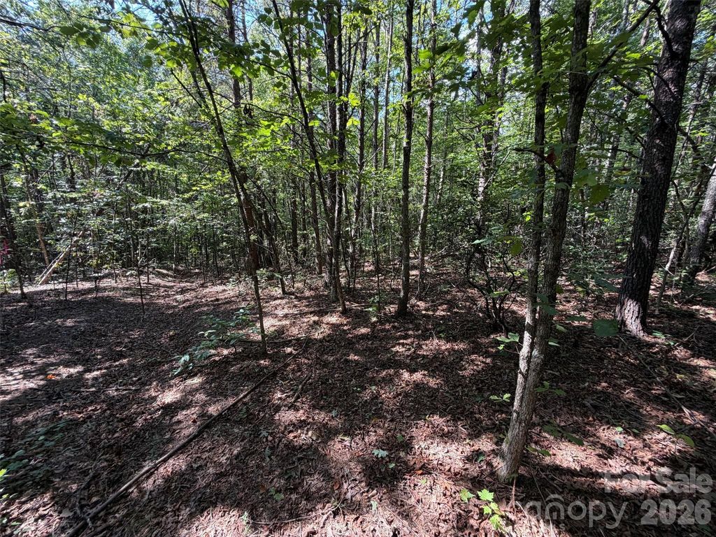 476 Southern Way, Nebo, NC 28761