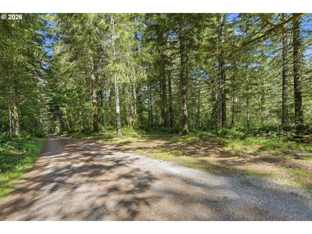 22515 Ne DOLE VALLEY Rd, Yacolt, WA 98675