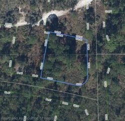 590 Sunrise Lane, Lake Placid, FL 33852