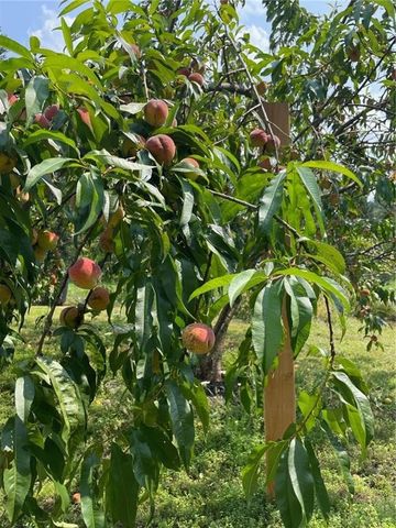 841 Cadosia Road, Hancock, NY 13783