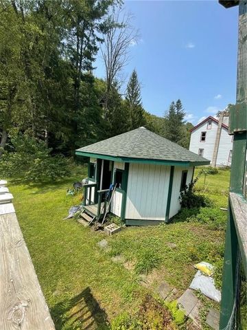 841 Cadosia Road, Hancock, NY 13783