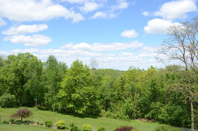 34506 Pleasant Point Drive, Homer Twp, MN 55987