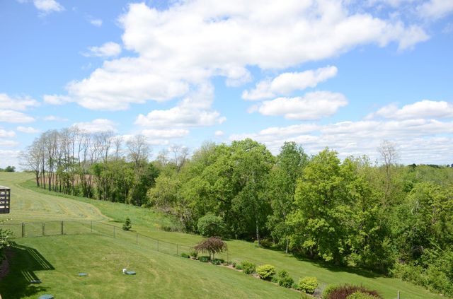 34506 Pleasant Point Drive, Homer Twp, MN 55987