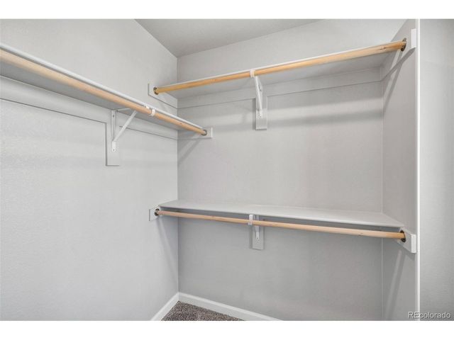 310 Shoveler Way, Johnstown, CO 80534