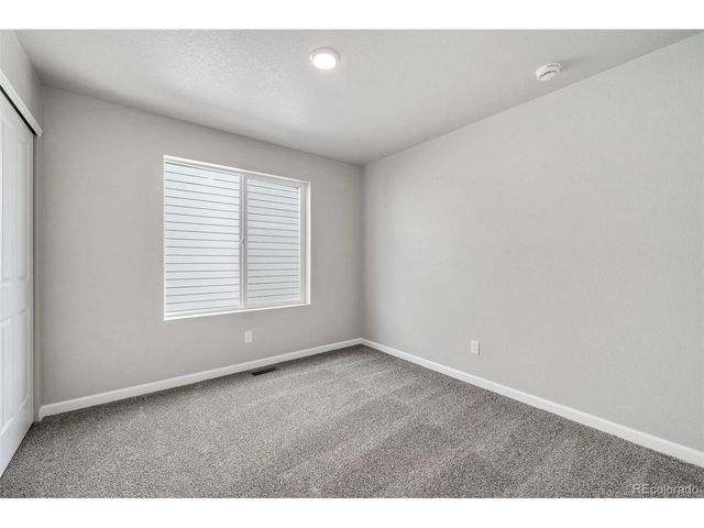 310 Shoveler Way, Johnstown, CO 80534