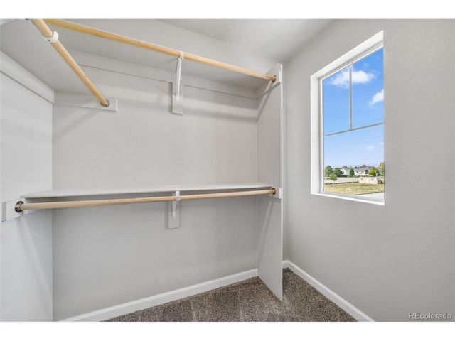 310 Shoveler Way, Johnstown, CO 80534