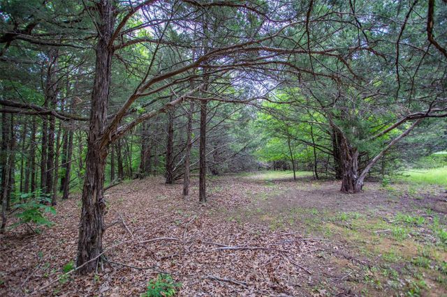 740 Palmilla Drive, Gordonville, TX 76245