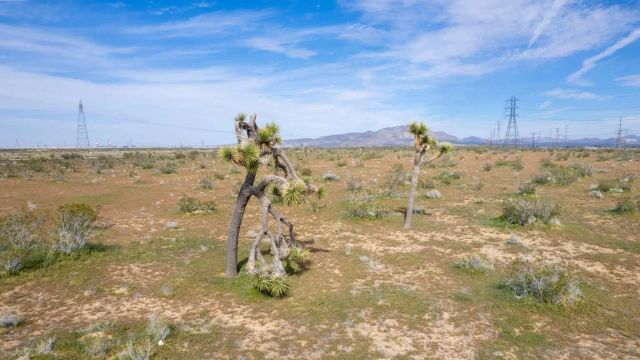 0 Brucite RD 25, Victorville, CA 92394