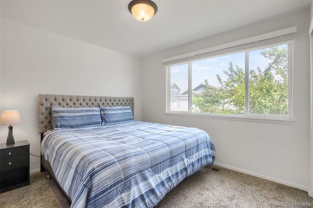 331 Torreys Drive, Windsor, CO 80550