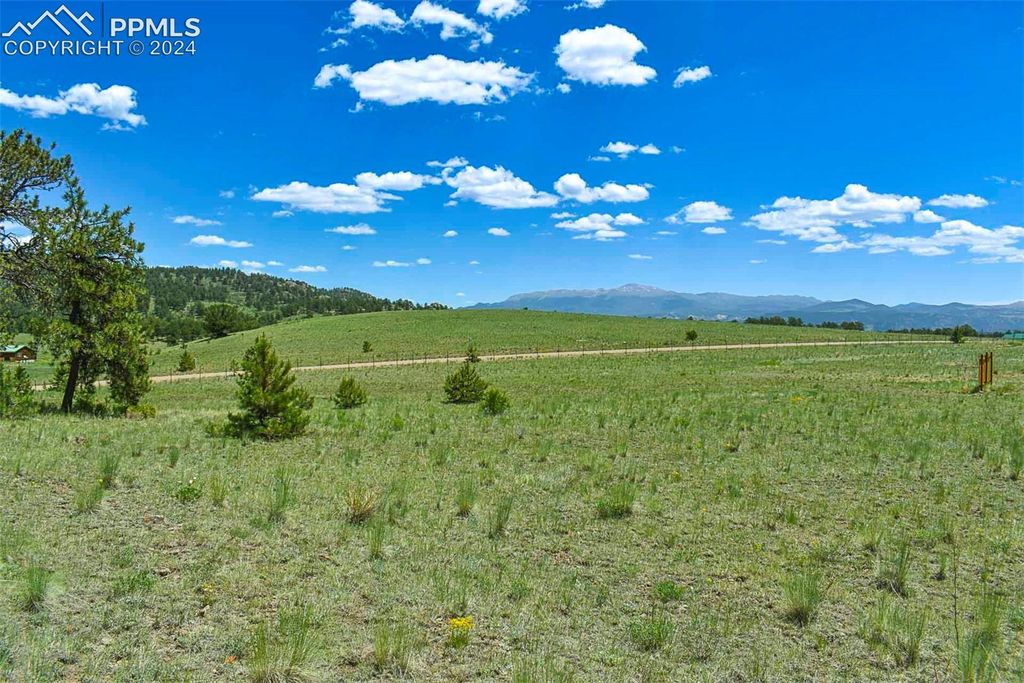 56 View Lane, Guffey, CO 80820 — photo 2