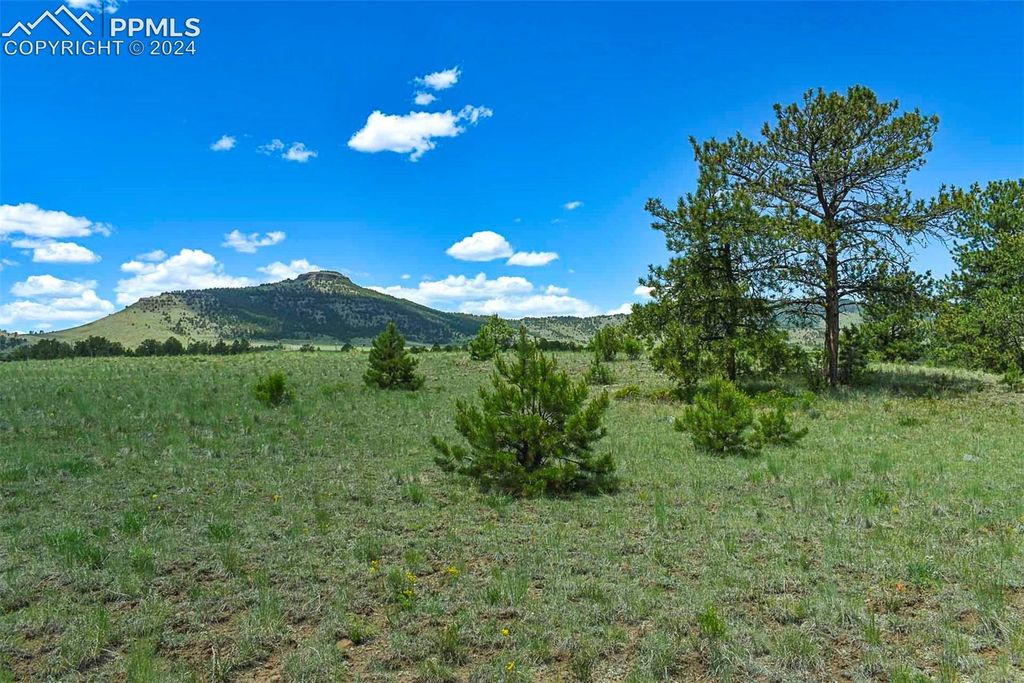 56 View Lane, Guffey, CO 80820 — photo 3