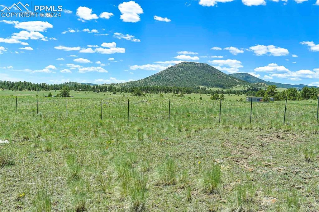 56 View Lane, Guffey, CO 80820 — photo 4